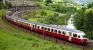 lsm17522 copy.jpg